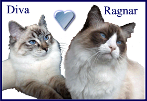 Diva & Ragnar