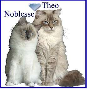 Noblesse & Theo