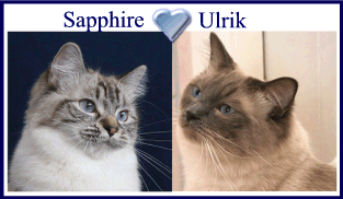 Sapphire & Ulrik